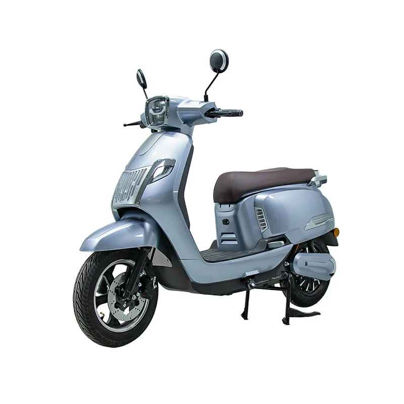 Moto eléctrica para adultos de 10 pulgadas 800 W motocicleta