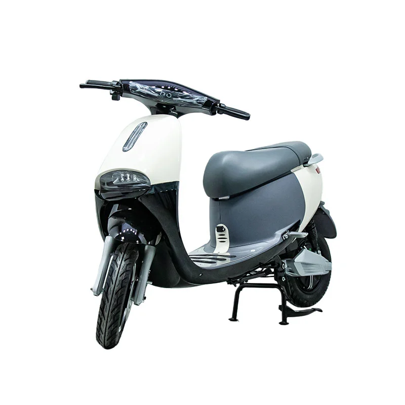 Moto eléctrica con una motocicleta de 10 pulgadas de 1000W